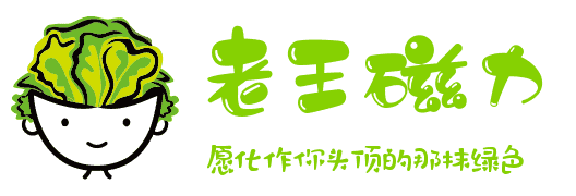老王磁力 Logo